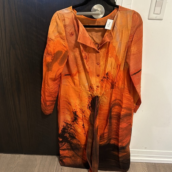 Arkris pinto - Picture 2 of 3